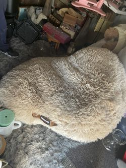 Cama Para Perro