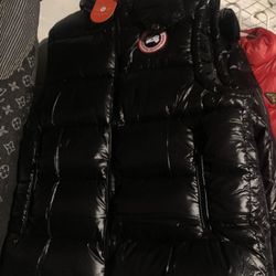 Black Goose Vest.   S,m,l,