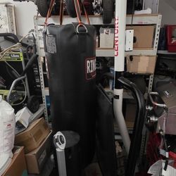 Punching Bag and Stand