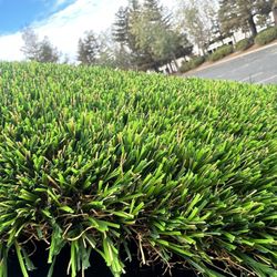 Artificial Turf 