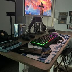 Gaming Monitor And Sit/stand Desk 