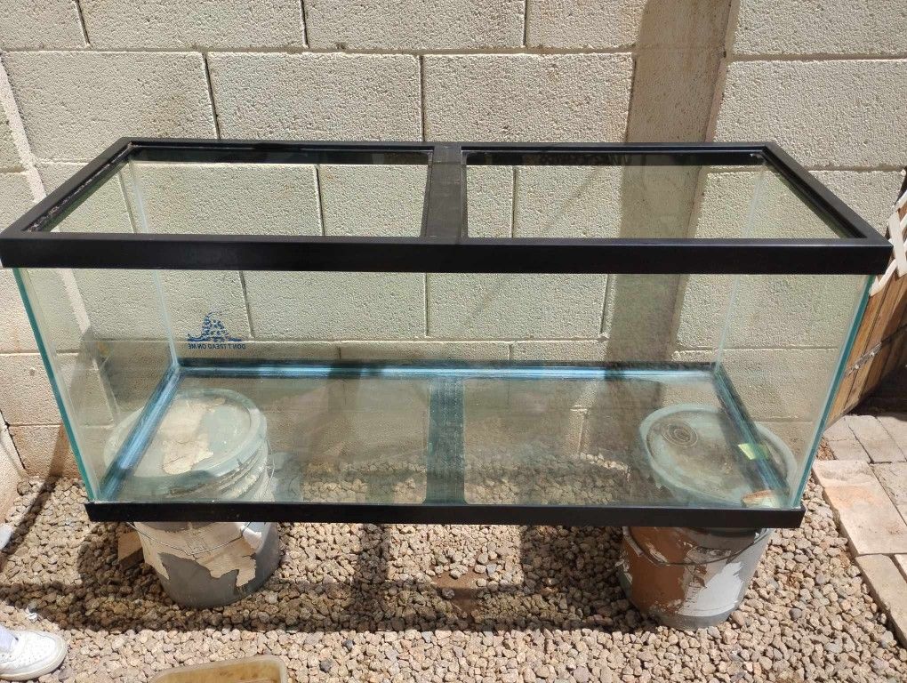 Fish Tank