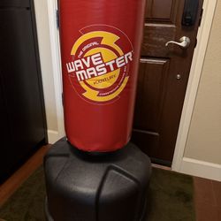 standing punching bag