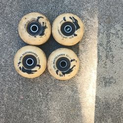 Skateboard Wheels