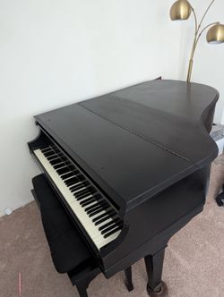 Chickering Bros Acoustigrande / Local Pickup / San Diego / Rare