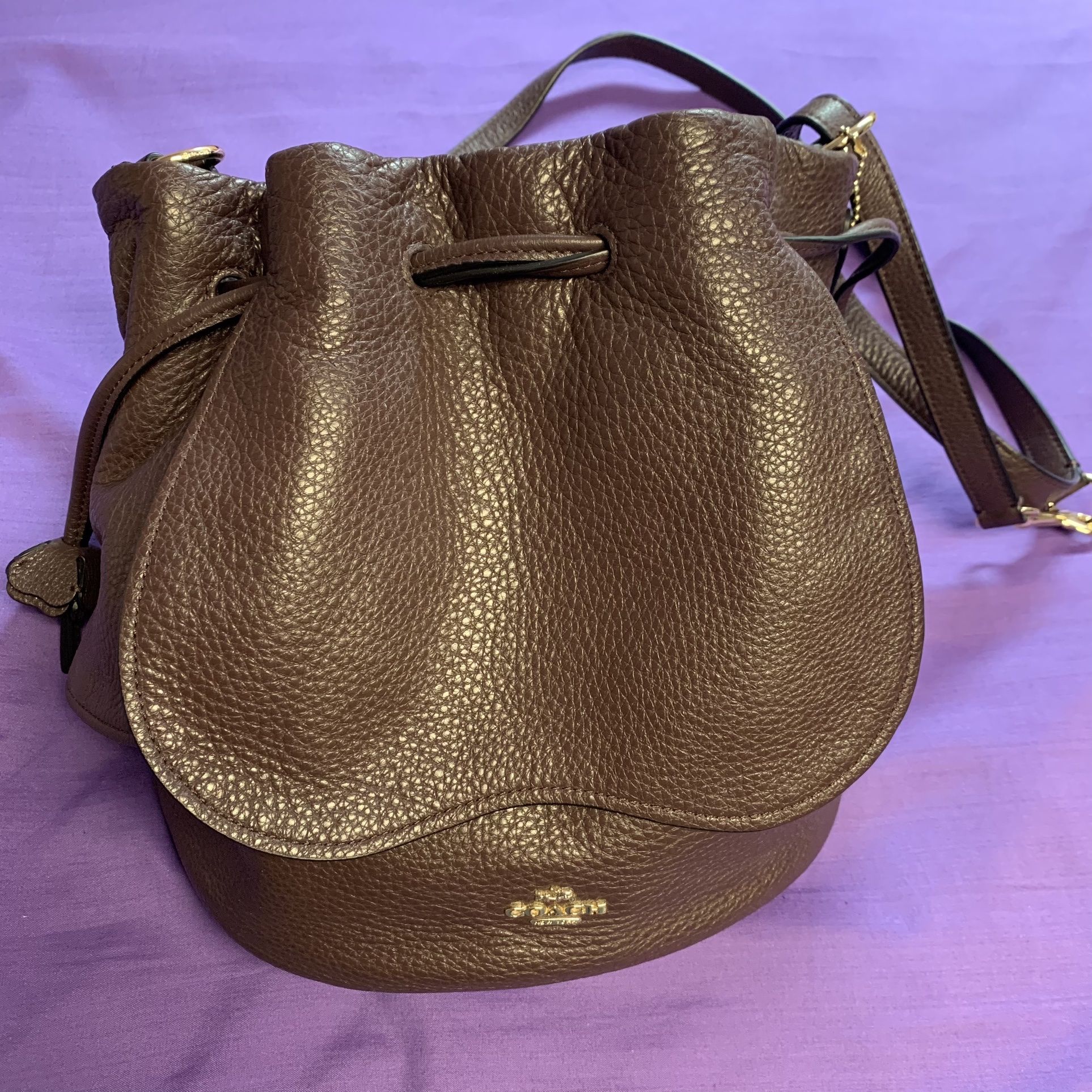 Coach petal store bag