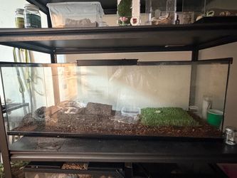 Reptile enclosure