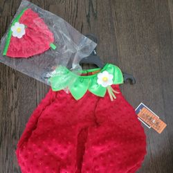Strawberry Costume 6-9month. ***new With Tags**