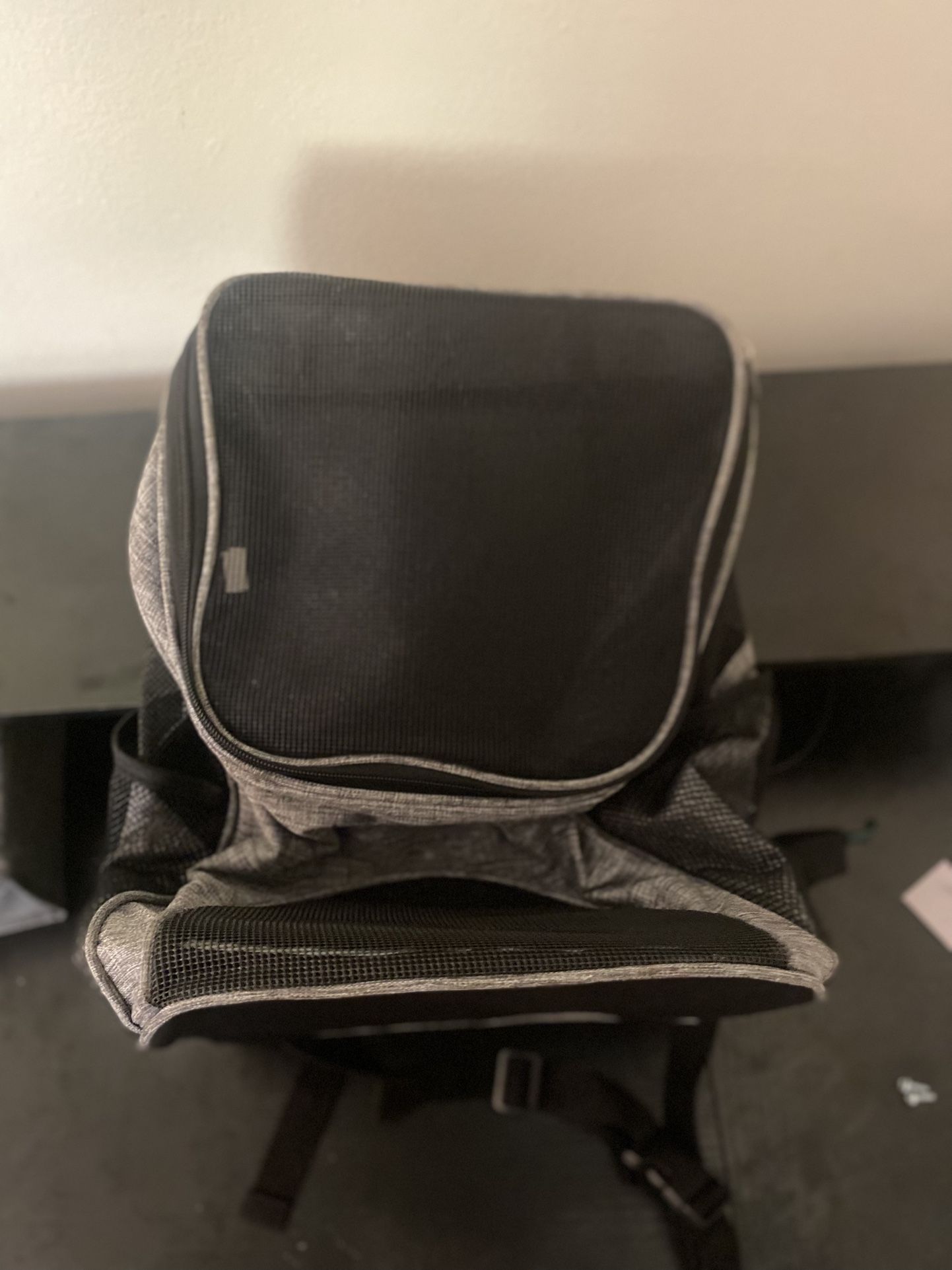 Small Cat And Dog Bad Carrier 