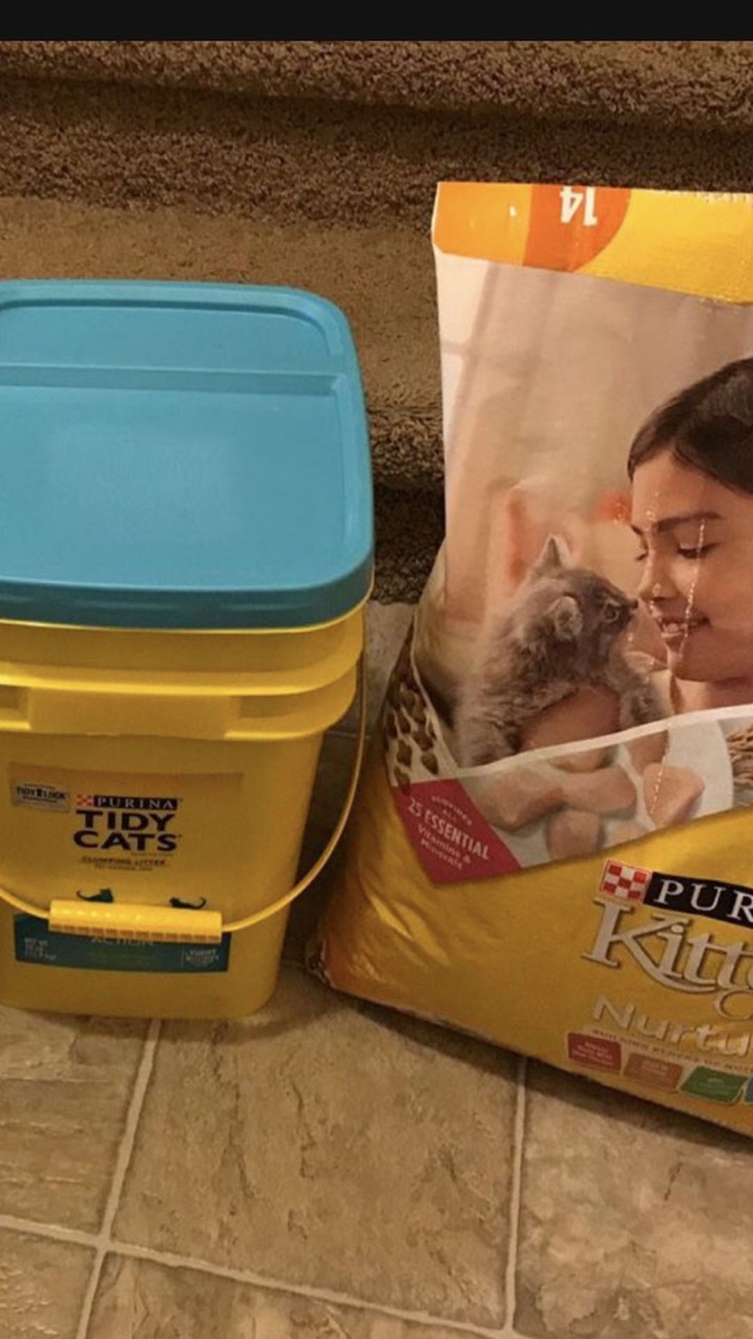Cat supplies: litter and food