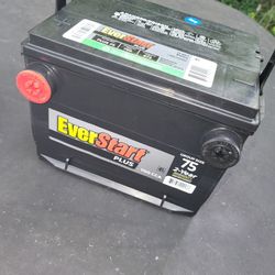 Brandnew Everlast Side Post Car Battery 