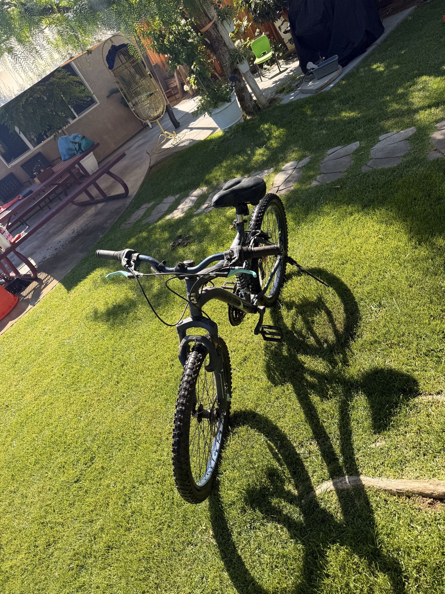 Mountain bike