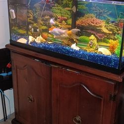 Pecera 50 Galones Con Todo Lo Que Ve (No Mesa)