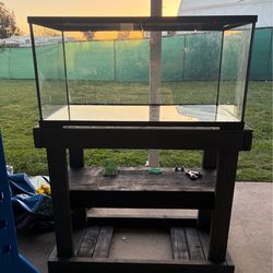 40 Gal Fish Tank and accessories