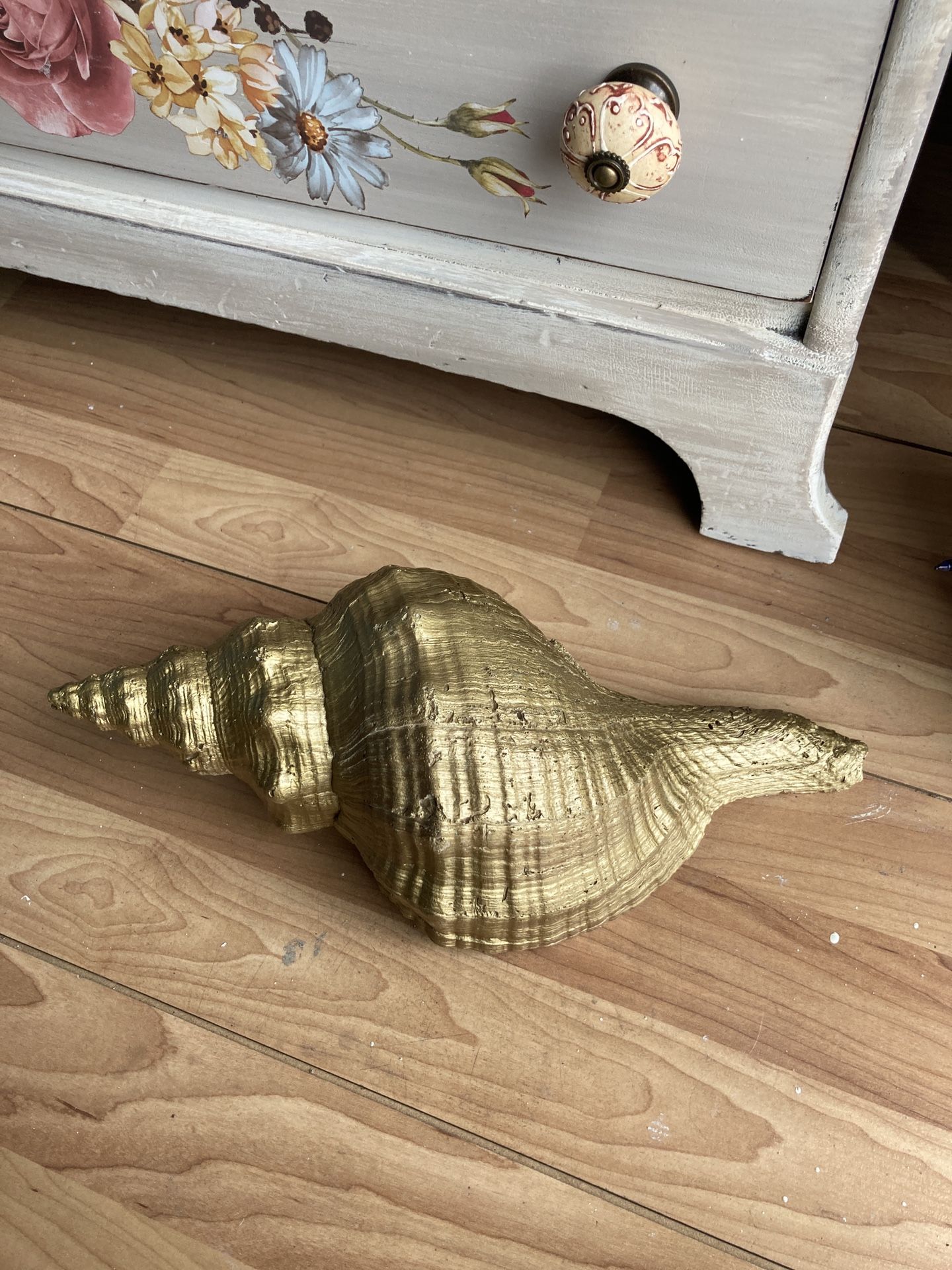 So Horse Conch