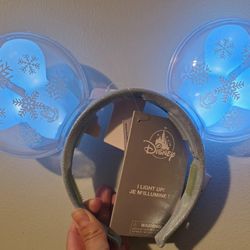 Disney Ears