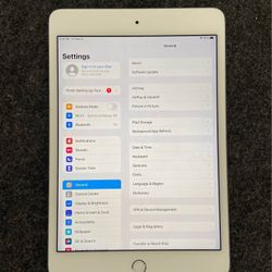 iPad Mini (4th Gen) 128GB - Excellent condition 