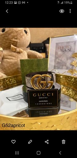 Cinturones Disponibles 