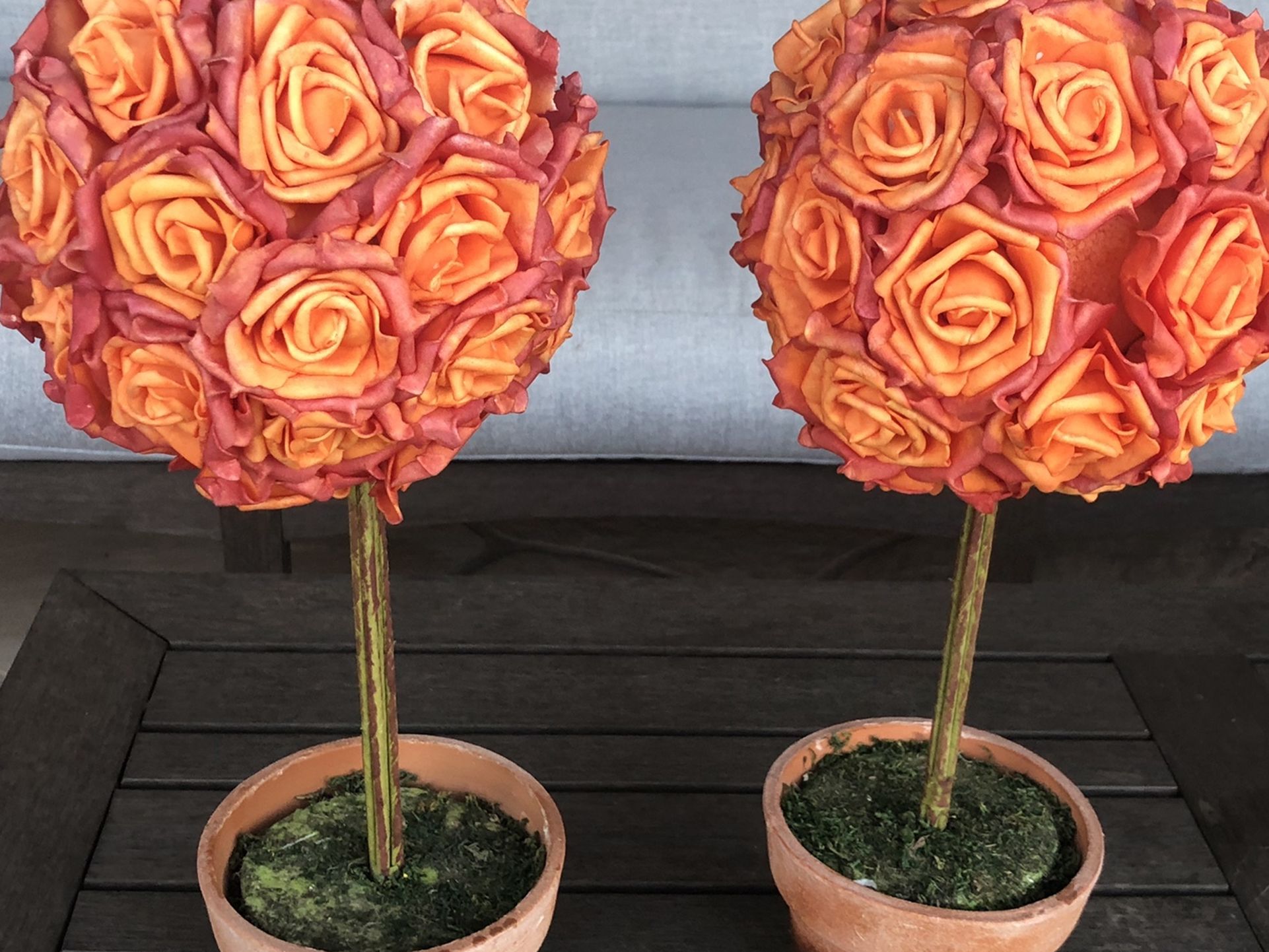 Set of two orange rose topiaries