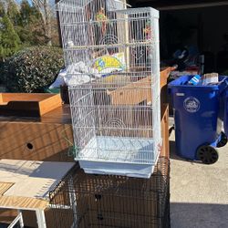 Birdcage parakeet canary fences lovebirds
