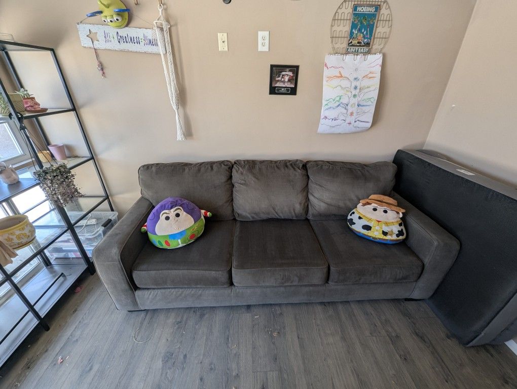 Costco Couch