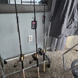 Penn Battle Iii Fishing Combo 