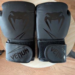 Venum Boxing Gloves (12oz) + Everlast Hand Wraps - Boxing Set