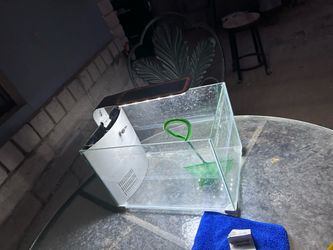 Small fish tank