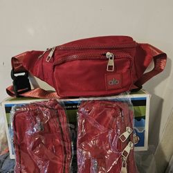  New Belt Bags 