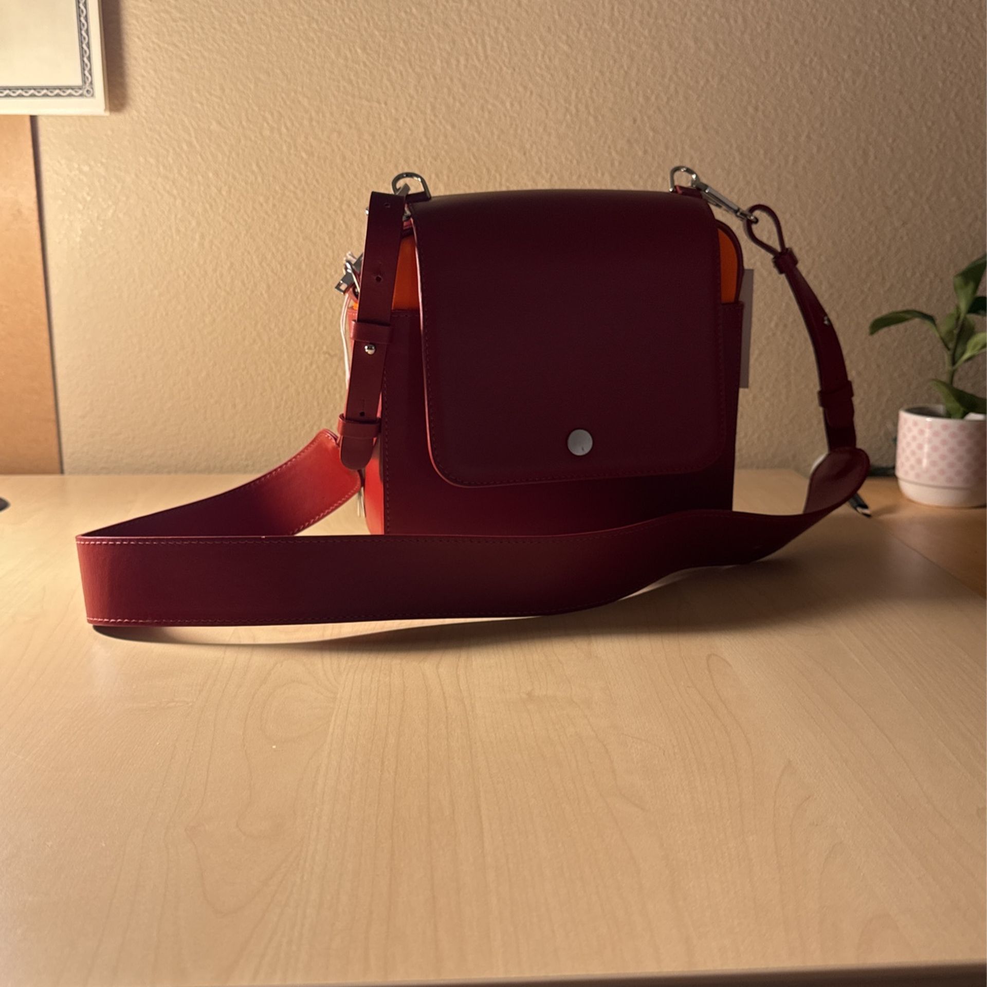 Cos Sling Bag | Brand New