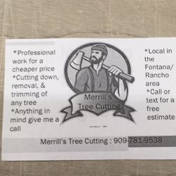 Tree cutting professional