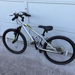  Nishiki Bike - Youth