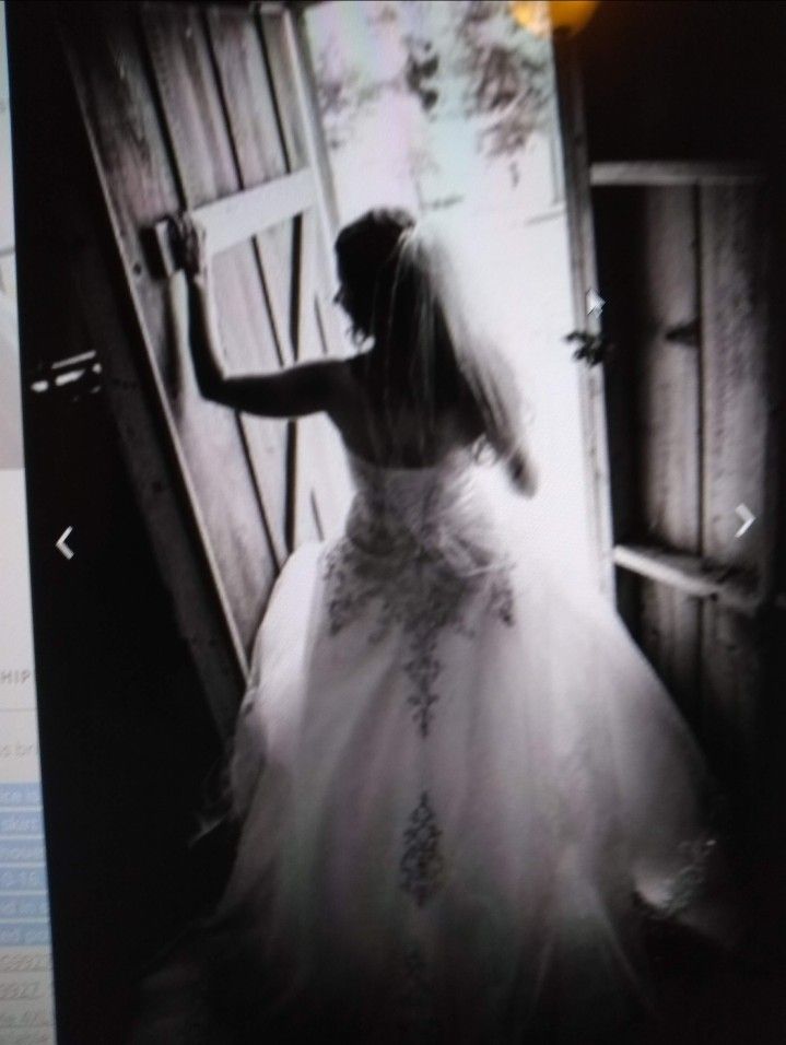Bnwt Davids Bridal Wedding Gown