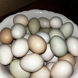 Chicken Product 