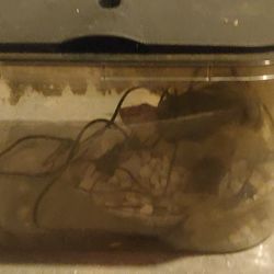 Plastic Fish Or Reptile Tank