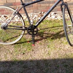 Bicycle  With Shimano Nexus  8 Speed Sg-c6000-8r