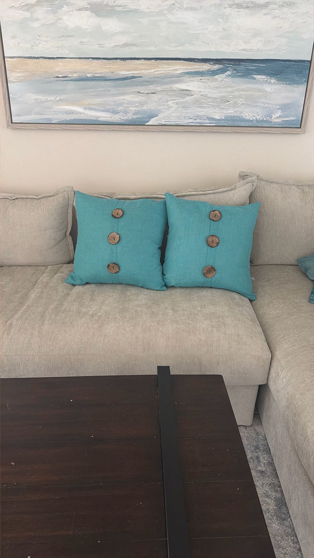 Blue Couch Pillows - 2