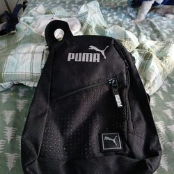 Puma Purse