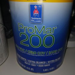 Pintura Blanca White Paint