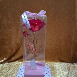 Valentine roses with lights.