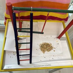 Parakeet/Small Bird Playground 