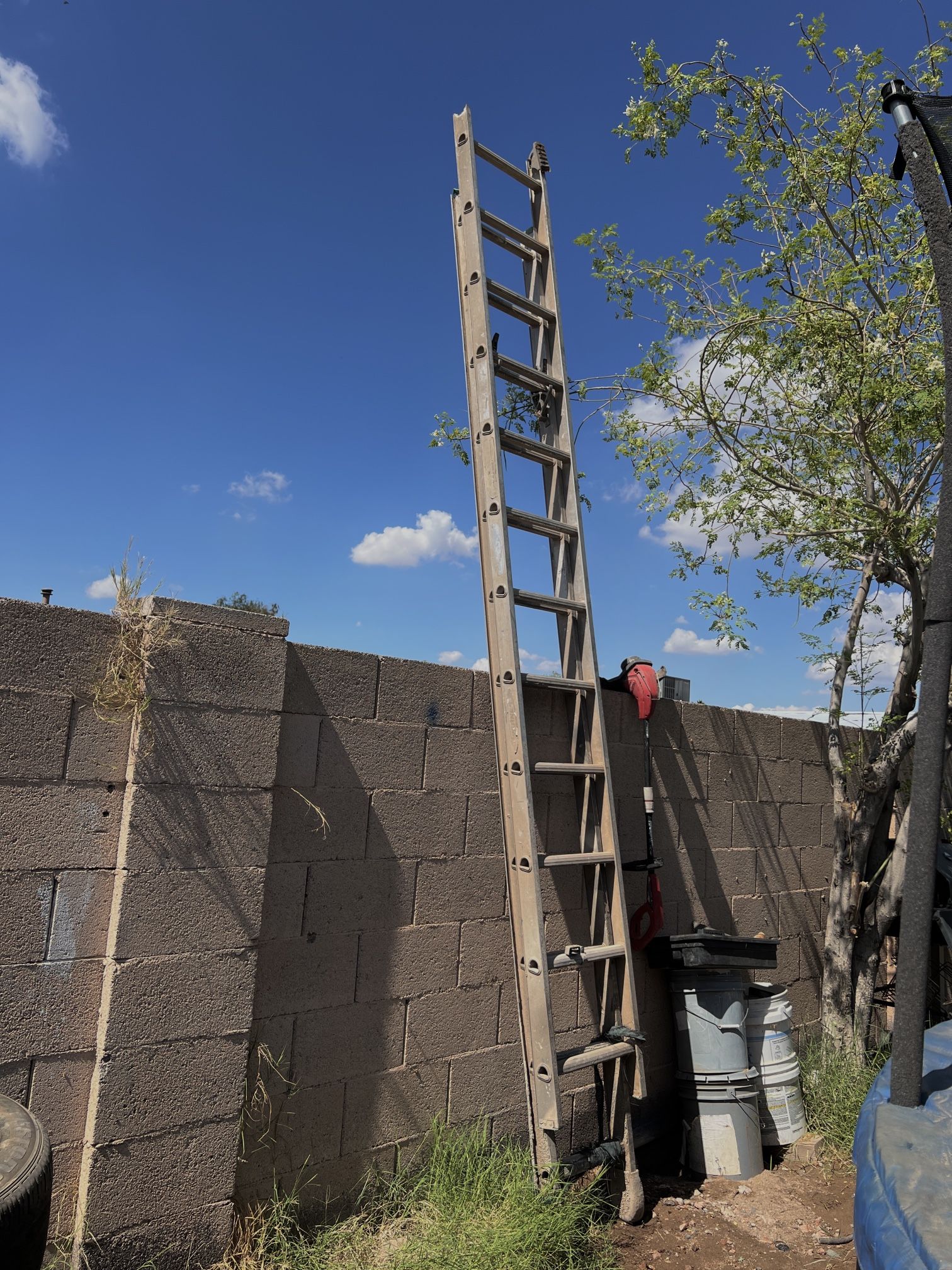 Ladder