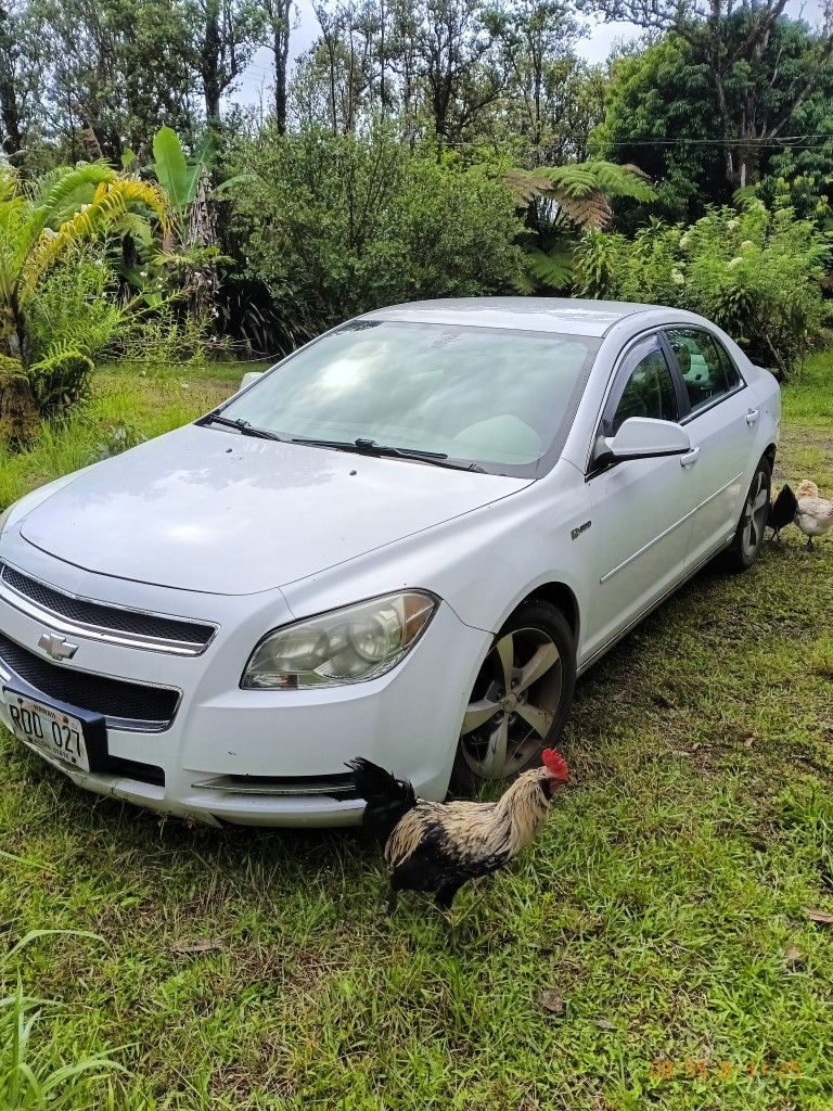 2010 Chevrolet Malibu