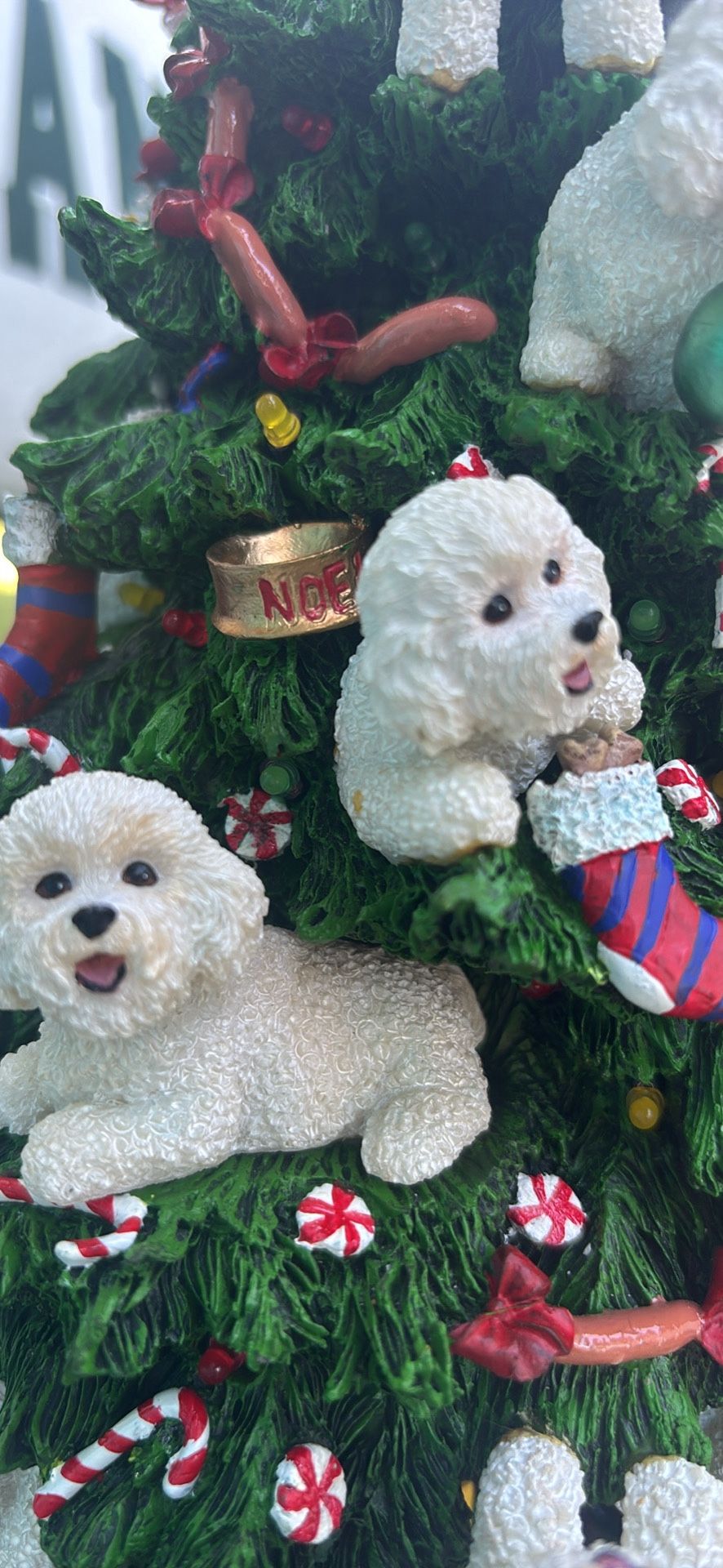 Bichon Dog Lovers
