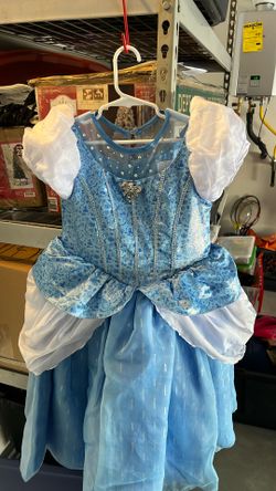Cinderella Dress Costume Disneyland