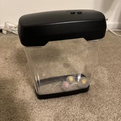 Jellyfish Tank