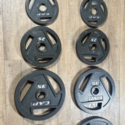 BRAND NEW Full Set Of Cast Iron CAP Weight Plates  from 2.5s to 45s [Total: 245 lbs] 