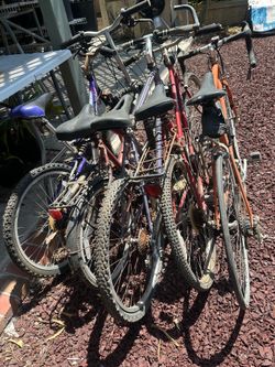 Adult bicycles