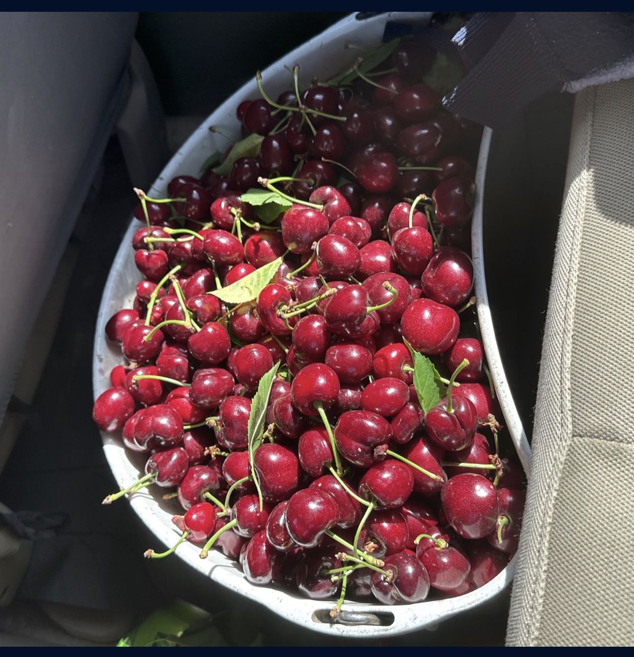 Cherries for Sale in Fresno, CA OfferUp