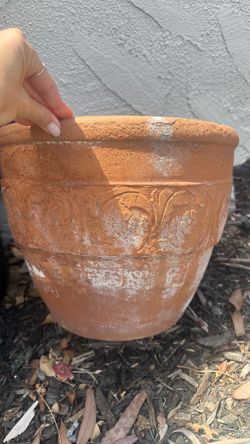 Antique Terra cotta pot